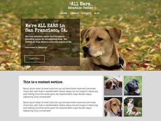 Petcare website template