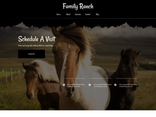 Horse Ranch website template