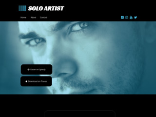 Solo Artist website template