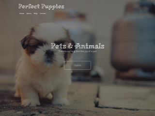 Pets and Animals website template