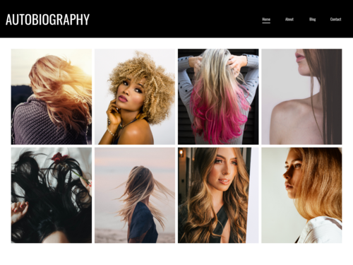 Portfolio