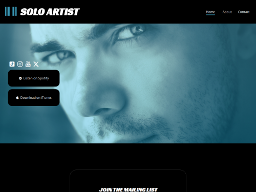 Solo Artist